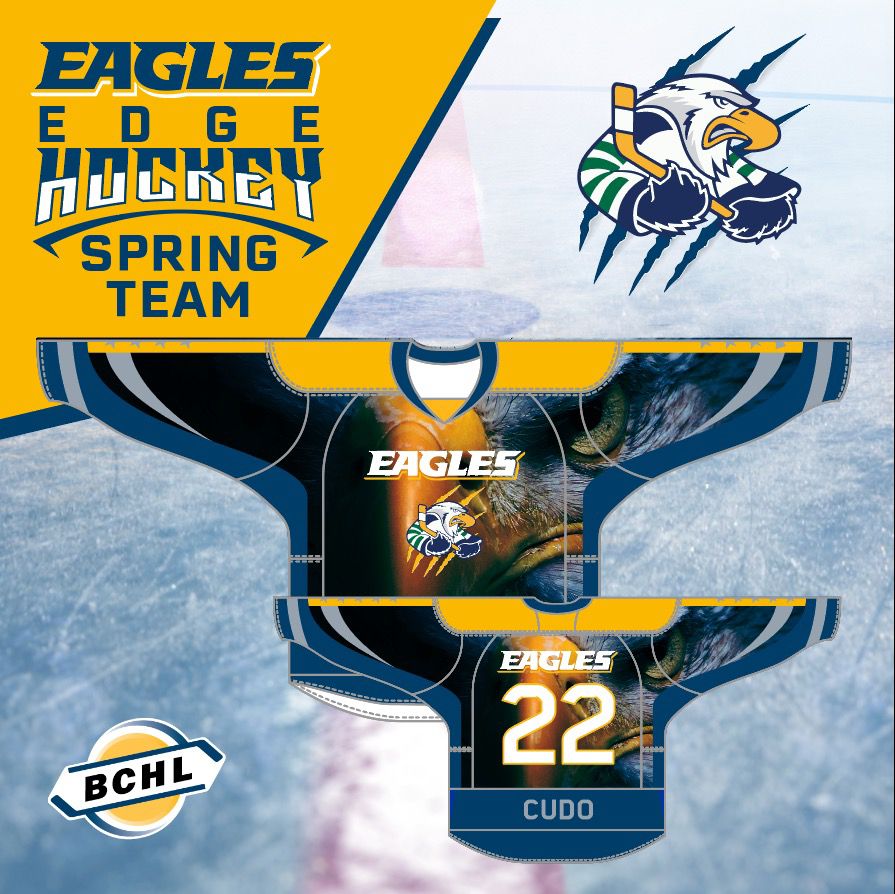 Spring Team tryout: 2004- 2005 Born, Levels: Must be AAA or above