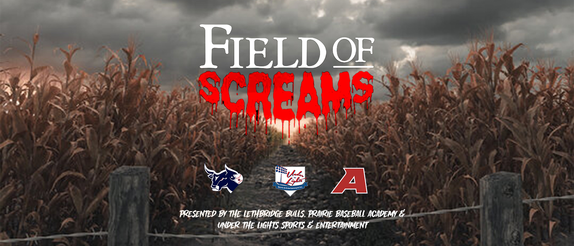 Field of Screams - Haunted House