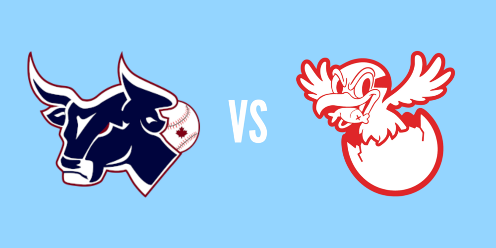 Lethbridge Bulls vs Medicine Hat Mavericks