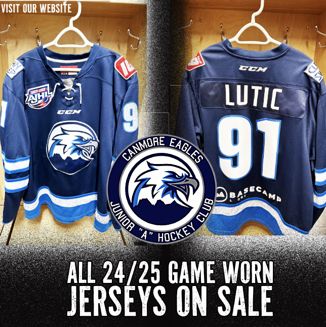 2024/2025 Game Worn Jersey Sale - Game Worn BLUE #91 LUTIC
