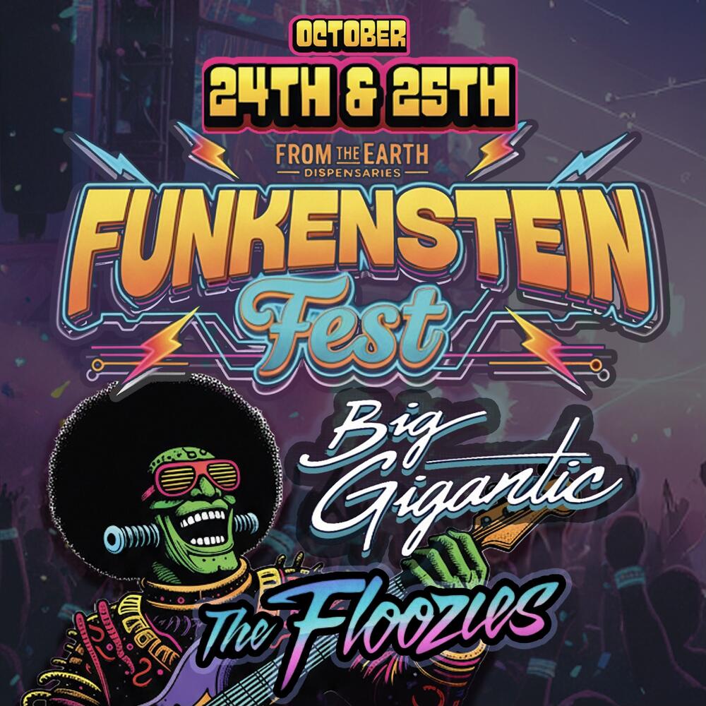 FUNKENSTEIN - 2 Day Pass