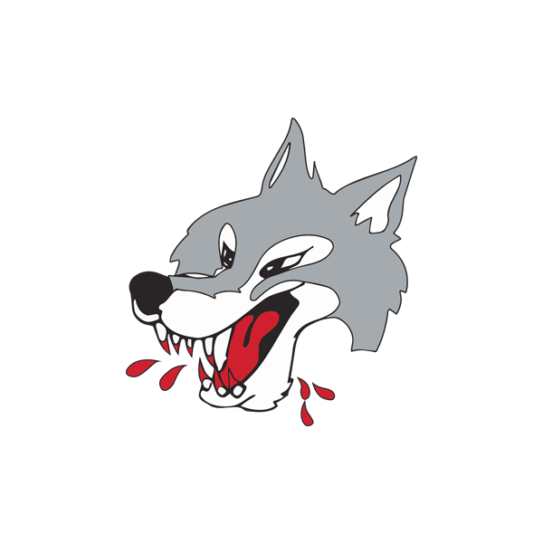 Sudbury Wolves vs Sarnia Sting
