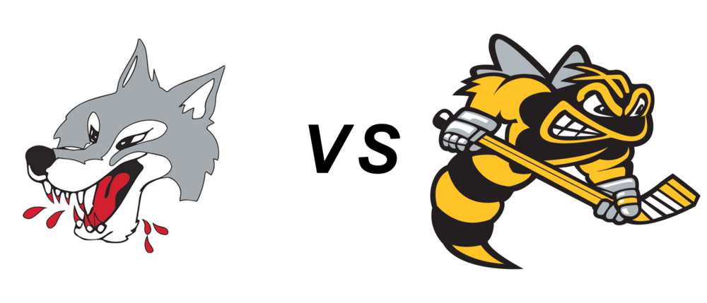 Sudbury Wolves vs Sarnia Sting