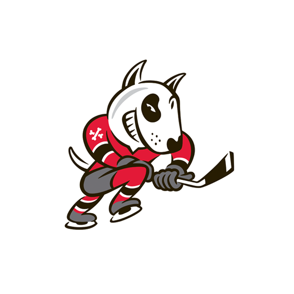 Niagara Icedogs vs Sarnia Sting