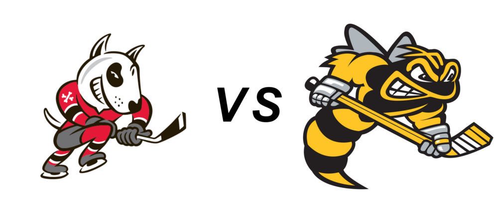 Niagara Icedogs vs Sarnia Sting
