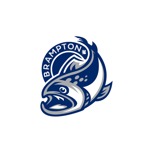 Brampton Steelheads vs Sarnia Sting