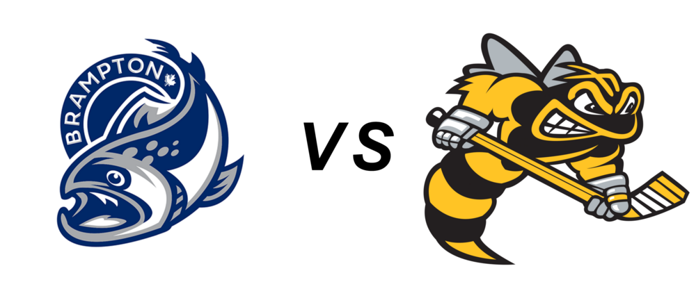 Brampton Steelheads vs Sarnia Sting
