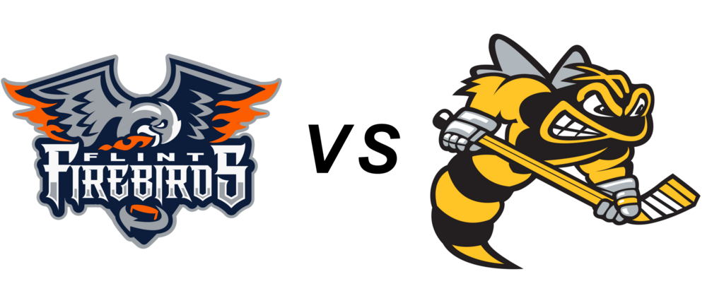 Flint Firebirds vs Sarnia Sting