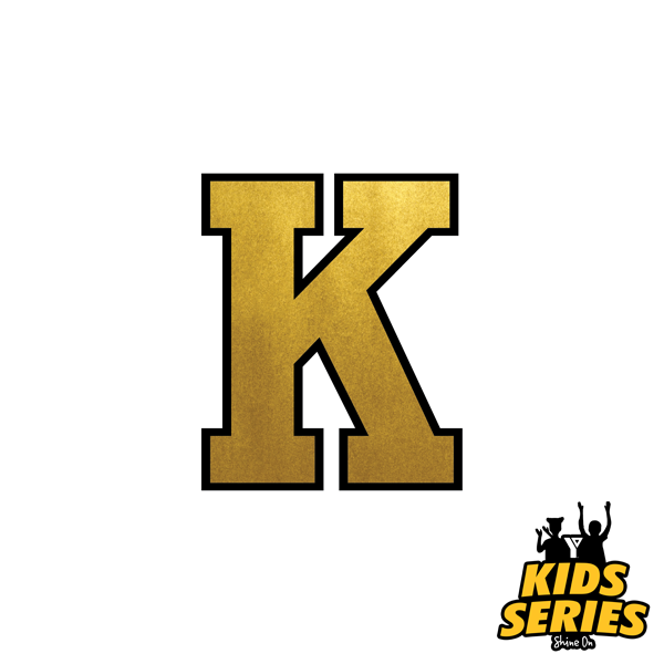 Kingston Frontenacs vs Sarnia Sting