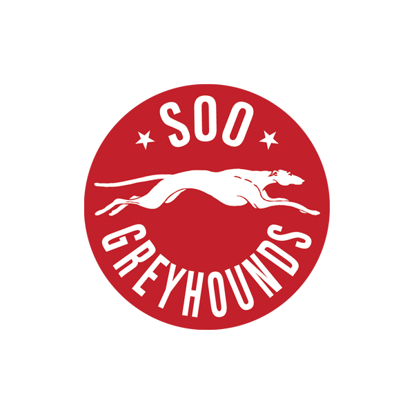 Soo Greyhounds vs Sarnia Sting
