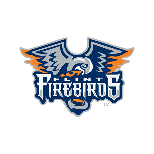 Flint Firebirds vs Sarnia Sting