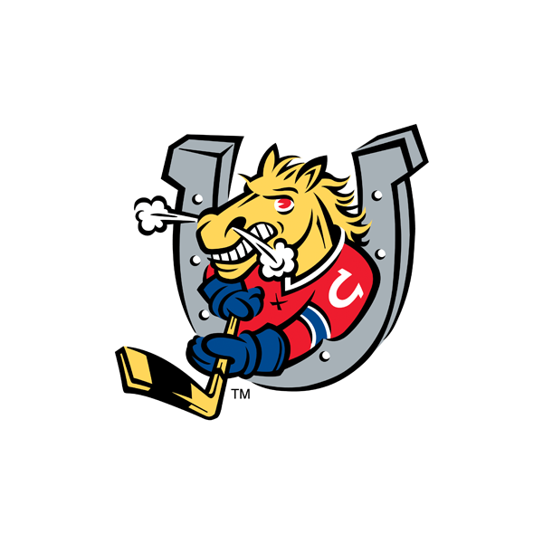 Barrie Colts vs Sarnia Sting