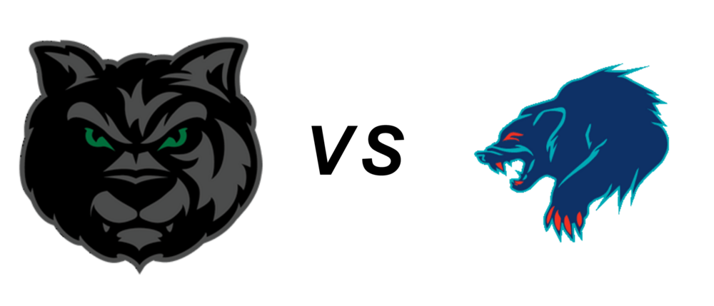 Minnesota Wilderness vs Anchorage Wolverines
