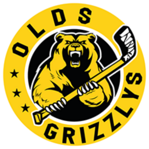 Grizzlys Flex Pack 2025-26