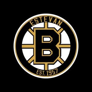 Flex Pack (10/15 game packs)