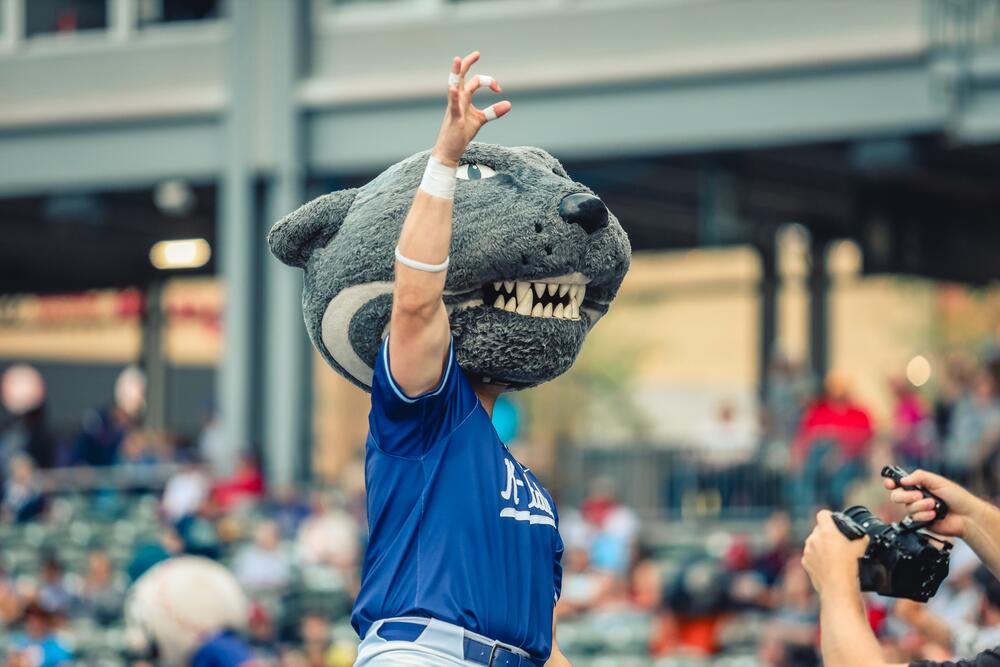 Kane County Cougars vs Kansas City Monarchs
