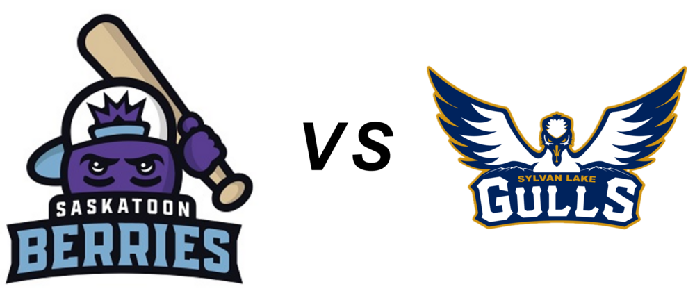 Saskatoon Berries @ Sylvan Lake Gulls