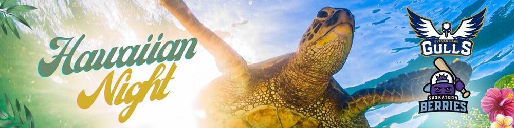 Saskatoon Berries @ Sylvan Lake Gulls
