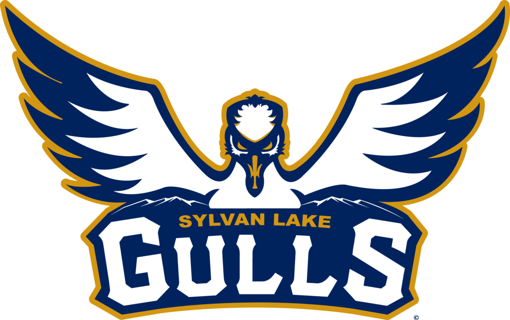 Game 7 - Sylvan Lake Gulls vs Lethbridge Bulls