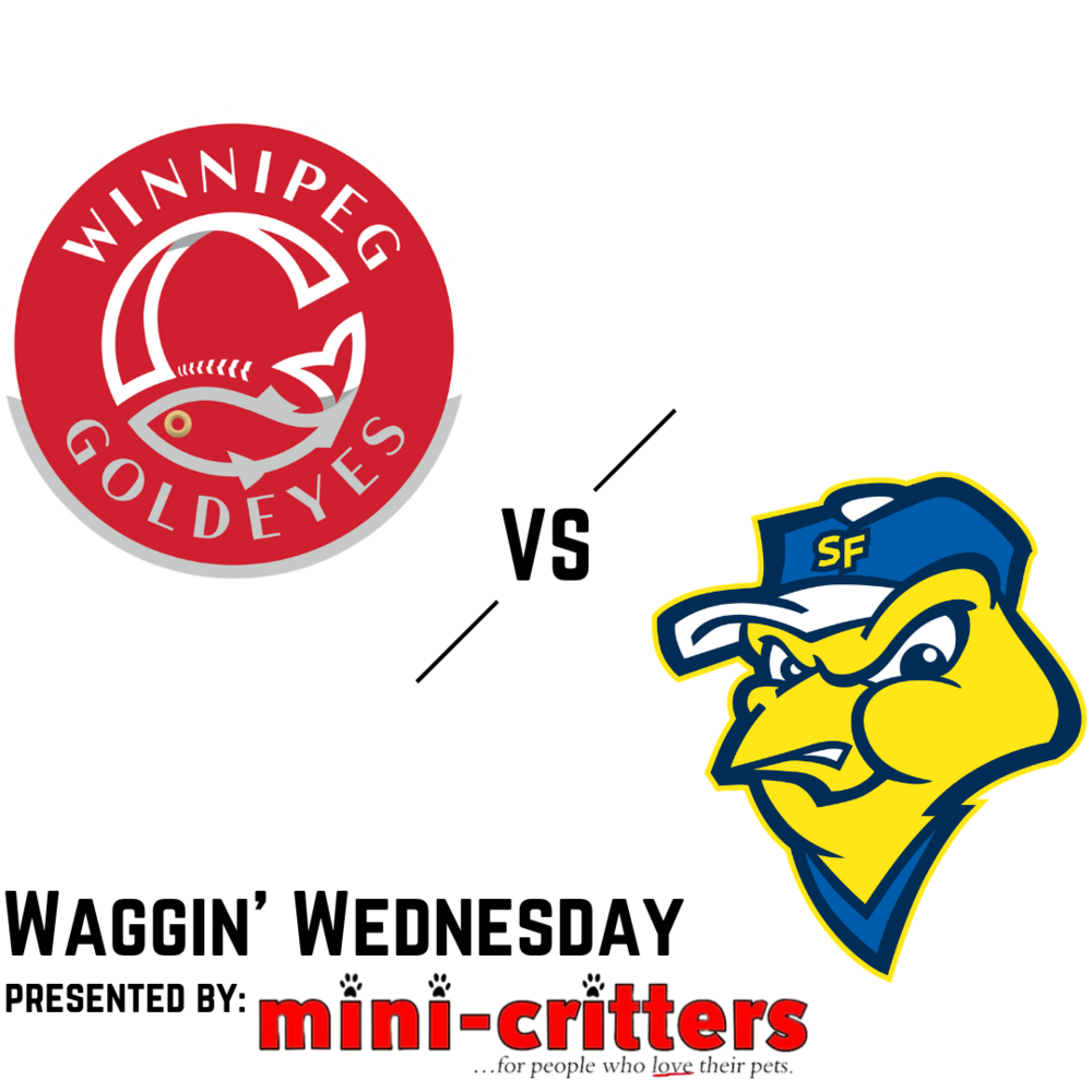 Winnipeg Goldeyes vs Sioux Falls Canaries