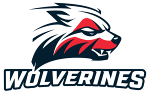 2026 10 game flex pack