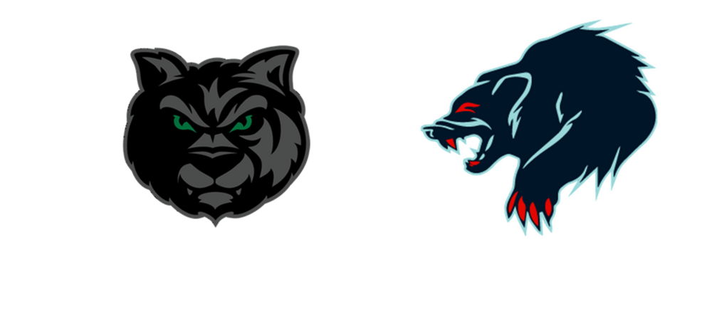 Minnesota Wilderness vs Anchorage Wolverines Playoff Game