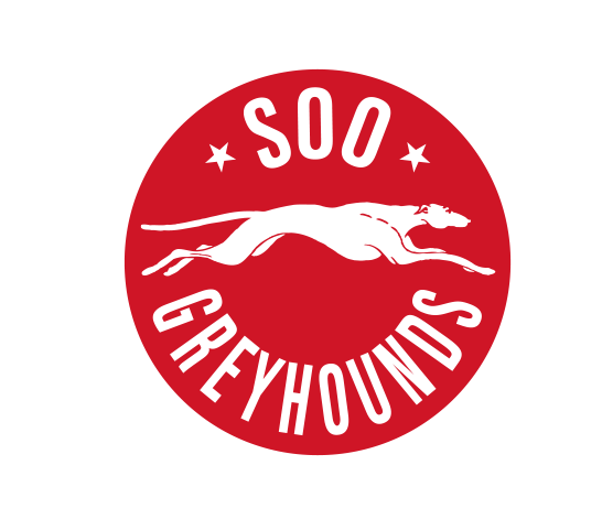 Soo Greyhounds vs Sarnia Sting