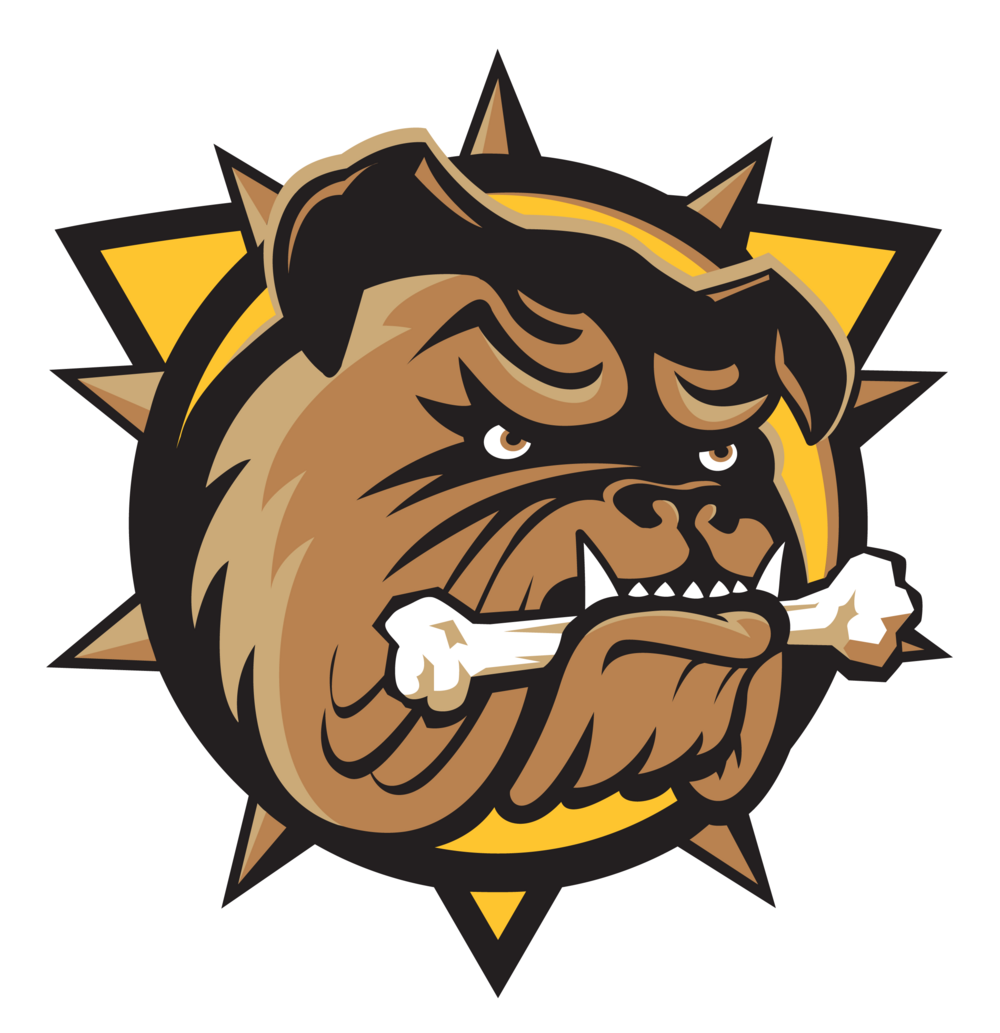Brantford Bulldogs vs Sarnia Sting