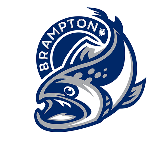 Brampton Steelheads vs Sarnia Sting