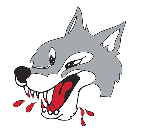 Sudbury Wolves vs Sarnia Sting