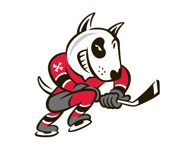 Niagara Icedogs vs Sarnia Sting