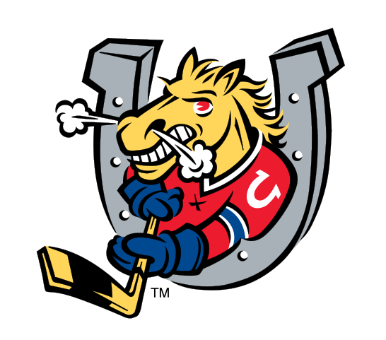 Barrie Colts vs Sarnia Sting