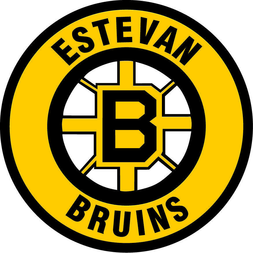Season Tickets 2026-2027 Eagle Sky Estevan Bruins