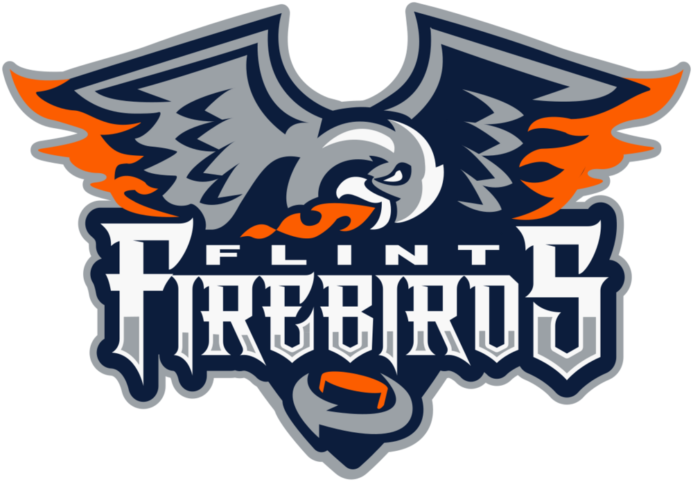 Pre Season:  Flint Firebirds vs Sarnia Sting