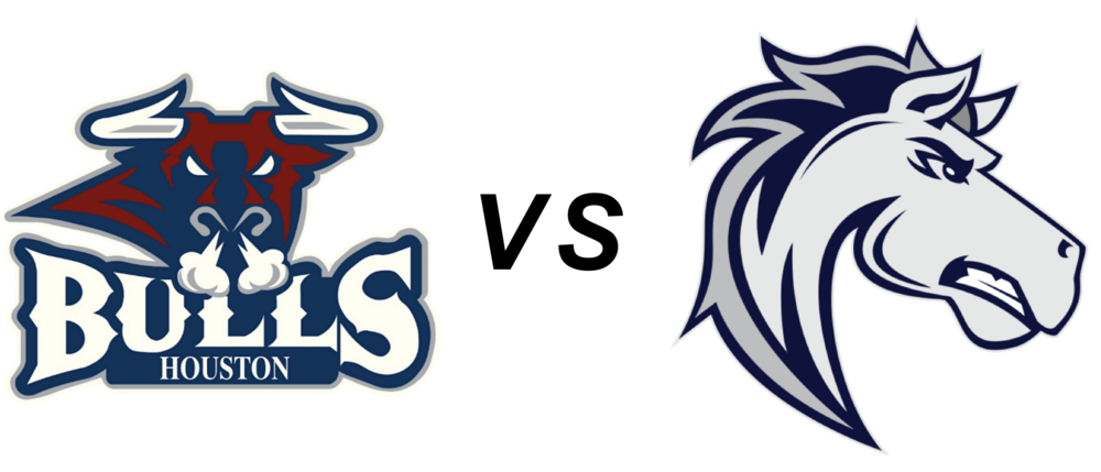 Houston Bulls vs Ogden Mustangs