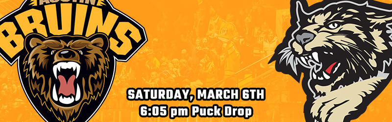 Bismarck Bobcats vs Austin Bruins