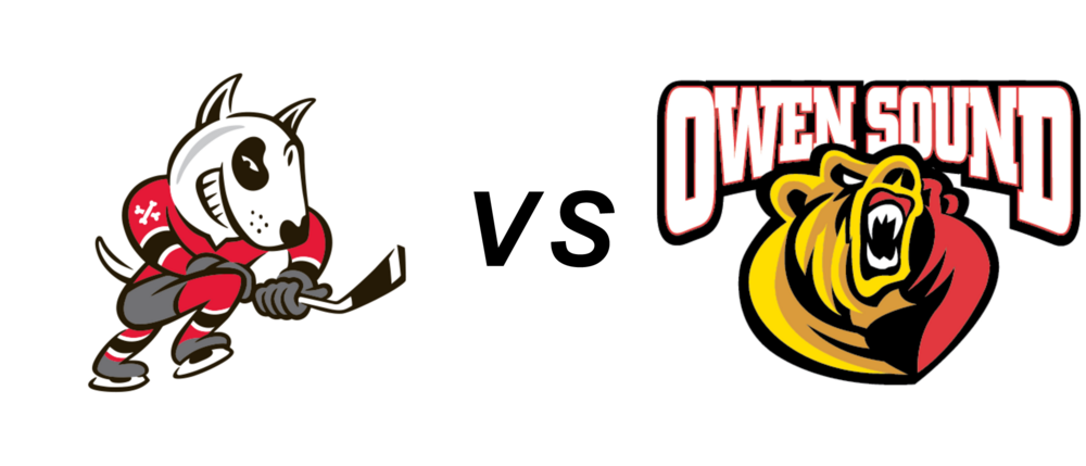 Niagara Icedogs vs Owen Sound Attack