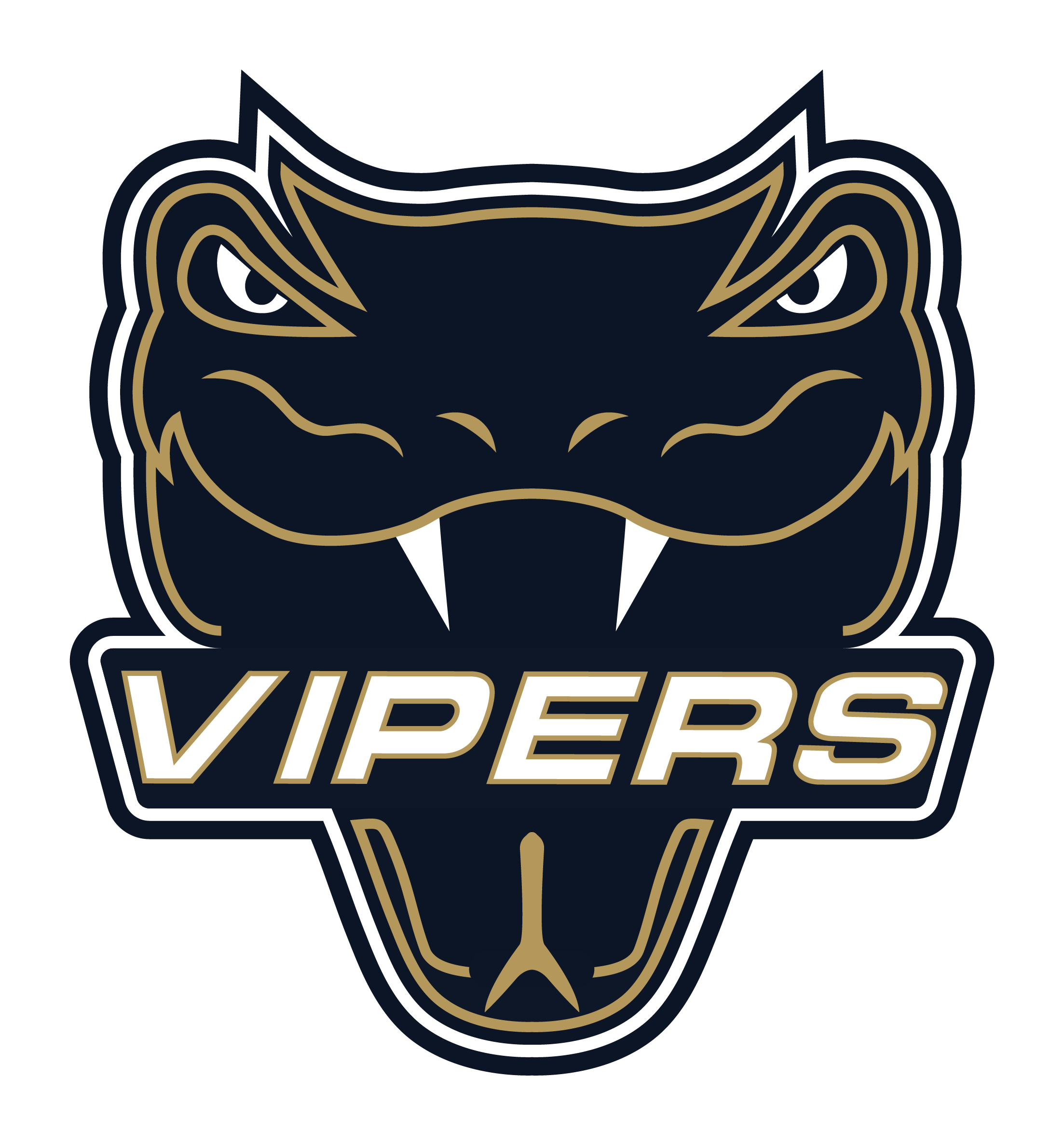 Vernon Vipers Ticket Portal