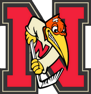 Newmarket Hurricanes Logo